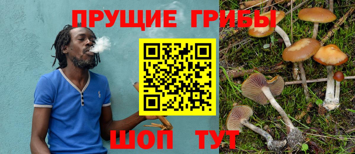 Галлюциногенные грибы Psilocybe Артём