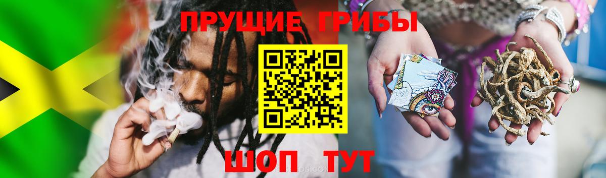 Псилоцибиновые грибы Psilocybine cubensis  Вход с VPN  Артём 